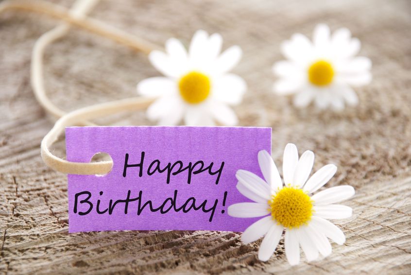 Rimu Marketing's 3rd birthday